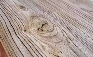 聞香識木，教您識別身邊的木材