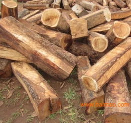 上海非洲黃花梨木材進(jìn)口報(bào)關(guān)代理服務(wù)全解析 廠家、流程與價(jià)格指南