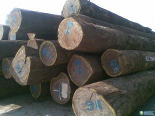 供應(yīng)南非德班至東莞沙田港木材清關(guān)代理 | 專業(yè)沙田木材報(bào)關(guān)行服務(wù)指南